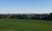 Excursión Bici de montaña Ronse - Petits chemins panoramiques autour de Renaix - Photo 3