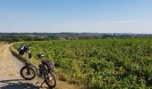 Tocht Mountainbike Ronse - Petits chemins panoramiques autour de Renaix - Photo 2