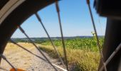 Tocht Mountainbike Ronse - Petits chemins panoramiques autour de Renaix - Photo 1