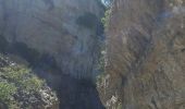 Tour Wandern Minerve - Gorges Cesse et Brian - Photo 13