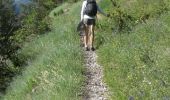 Trail Walking Arvieux - chalets et col de Furfante depuis les Escoyères - Photo 1