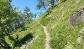 Trail Walking La Chapelle-en-Valgaudémar - Valgaudemar - Rif du Sap Montée de Chalance - 2.6km 225m 1h05 - 2018 07 04 - public - Photo 2