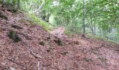 Trail Walking La Chapelle-en-Valgaudémar - Valgaudemar - La Chapelle (les Portes) forêt - 4.3km 285m 1h35 - 2018 07 05 - public - Photo 2