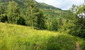 Tocht Stappen La Chapelle-en-Valgaudémar - Valgaudemar - La Chapelle (les Portes) forêt - 4.3km 285m 1h35 - 2018 07 05 - public - Photo 3