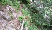 Trail Walking La Chapelle-en-Valgaudémar - Valgaudemar - La Chapelle (les Portes) forêt - 4.3km 285m 1h35 - 2018 07 05 - public - Photo 4