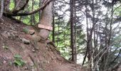 Excursión Senderismo La Chapelle-en-Valgaudémar - Valgaudemar - La Chapelle (les Portes) forêt - 4.3km 285m 1h35 - 2018 07 05 - public - Photo 5