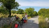 Trail Cycle Triest - Opicina (I) - Nova Gorica (SLO) - Photo 19