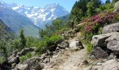 Randonnée Marche La Chapelle-en-Valgaudémar - Chalet-hôtel de Gioberney - boucle Lac du Lauzon  - 7.2km 480m 4h30 (1h) - 2018 06 27 - Photo 1