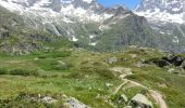 Randonnée Marche La Chapelle-en-Valgaudémar - Chalet-hôtel de Gioberney - boucle Lac du Lauzon  - 7.2km 480m 4h30 (1h) - 2018 06 27 - Photo 9