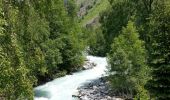 Randonnée Marche Saint-Christophe-en-Oisans - Saint-Christophe-en-Oisans - de Champhorent AR le long du Vénéon - 5.3km 210m 2h15 (45mn) - 2018 06 17 - Photo 1