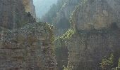 Tour Wandern Beauvezer - Gorges de Saint Pierre - Photo 4
