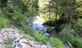 Trail Walking Saint-Maurice-en-Valgodemard - Valgaudemar - l'Ubac Vallon de Prentiq - 14.9km 810m 5h15 - 2018 07 06 - public - Photo 7