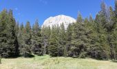 Trail Walking Tuolumne Meadows - Dog lake et Lembert Dome - Photo 1