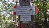 Trail On foot Lizzano in Belvedere - IT-123 - Photo 2