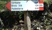 Trail On foot Bosco Chiesanuova - Bosco Chiesanuova - Rifugio Podestaria - Photo 10