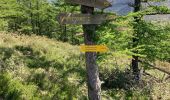 Tour Wandern Urrotz - Sommets et lacs de Leurtza depuis Urrotz. - Photo 12