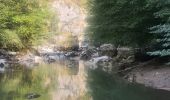 Trail Walking Cusy - 14-08-2022 Pont de Cusy - Pont de l'abîme  - Photo 1