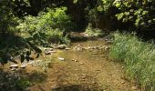 Randonnée Marche Saint-Guilhem-le-Désert - Saint Guilhem le désert - Photo 6