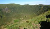 Tocht Stappen Cedros -  caldeira Faial - Photo 7