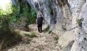 Tour Wandern Saint-Rémy-de-Provence - Mt Gaussier - Photo 17