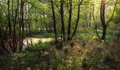 Tocht Te voet Wallenhorst - Hollager Rundwanderweg Nr.2 - Photo 1