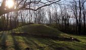 Tour Zu Fuß Siegendorf - Siegendorfer Naturfreunde-Wanderweg - Photo 3