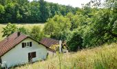 Percorso A piedi Bietigheim-Bissingen - Enztal - Photo 2