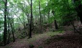 Tocht Te voet Meschede - Oesterberge Rundweg A6 - Photo 4