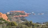 Trail Walking Saint-Raphaël - Pic du cap roux - Photo 17