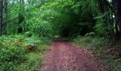 Randonnée Marche Mouleydier - Forêt de Liorac 21km - Photo 3