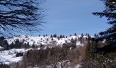 Percorso Racchette da neve Saulxures-sur-Moselotte - col des hayes - Photo 1