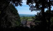 Tour Wandern Vöklingshofen - abbaye Marbach boucle par col Hasstatt - Photo 7