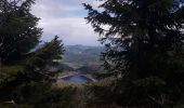 Trail Walking Orbey - Lac noir  - Photo 6