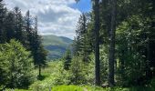 Tour Wandern Murat-le-Quaire - Borne des roches-Guéry - Photo 6