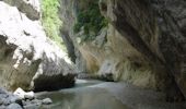 Randonnée Marche La Palud-sur-Verdon - Sentier de l'Imbut et Vidal - Photo 11