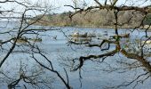 Tour Wandern Lanester - PR_56_Lanester_AA_01_Circuit1b_Cimetiere-Bateaux-Kerhervy_20230314 - Photo 18