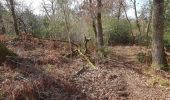 Trail Walking Rion-des-Landes - perrin, le borde, le moulin, retour par la rive gauche, tiqué, lamandit - 6.9 - Photo 1