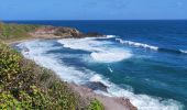 Excursión Senderismo La Trinité - Presqu'île de la caravelle  - Photo 4