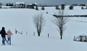 Tocht Sneeuwschoenen Büllingen - Manderfeld (PVDB) - Photo 4