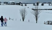 Tour Schneeschuhwandern Büllingen - Manderfeld (PVDB) - Photo 4