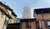 Tour Wandern Albi - Albi 1 - Photo 9
