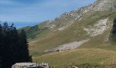 Tocht Stappen École - BAUGES: COL D'ARCLUSAZ - Photo 8