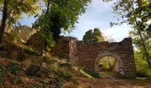 Randonnée Marche Grendelbruch - Grendelbruch - château de Guirbaden - châtaignes - Photo 7