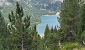 Trail Walking Aragnouet - J9-Monpelat-col Aumar - Photo 14