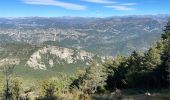 Tour Wandern Coursegoules - Coursegoules <-> Gréolières les Neiges - Photo 8
