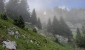 Excursión Senderismo Fillière - GLIERES / BORNES: SOUS DINE AU DEPART DE LES CHENEVIERS...  - Photo 11
