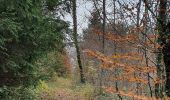 Tocht Stappen Arbois - repère lactaire 1 - Photo 1