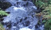 Tour Wandern Weismes - 20210908 - Sourbrodt 7.4 Km - Photo 16