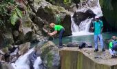 Tocht Stappen Saint-Claude - canal lepelletier par dimba - Photo 1