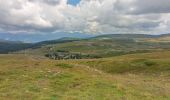 Tour Wandern Bouvante - Serre Montué ( petit et grand sommet) - Photo 16